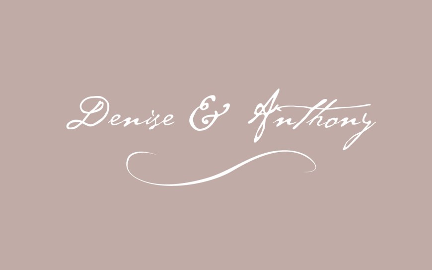 Denise Vasi and Anthony Mandler Wedding