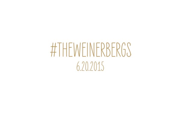 Petite Pix Portrait Booth for Jessica and David's Wedding in Ojai, CA #theweinerbergs